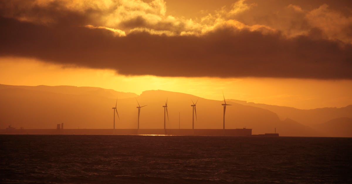 Transition juste : vers un avenir durable et équitable