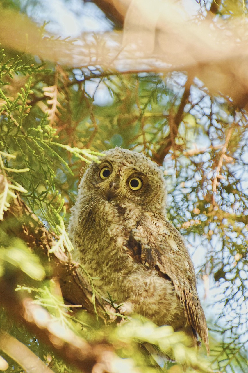 Entreprises : l’essor prometteur des SCOP et la collaboration innovante entre Gem et Grenoble Angels – les dernières actualités