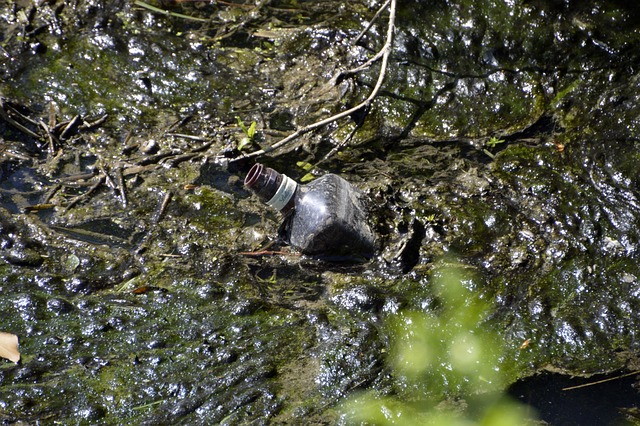 Marre des pubs envahissantes ? 3 astuces faciles pour alléger votre boîte aux lettres !