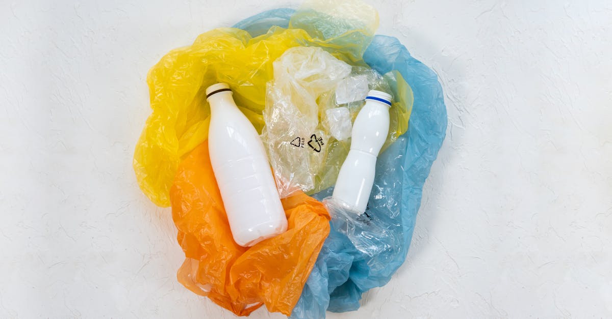 Soutenabilité sociale : enjeux et perspectives pour un avenir durable