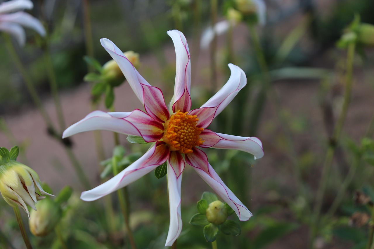 Adoptez des gestes simples pour diminuer de 25 % votre empreinte carbone alimentaire