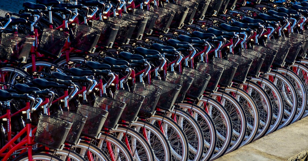 Systèmes de transport durable : vers une mobilité écoresponsable