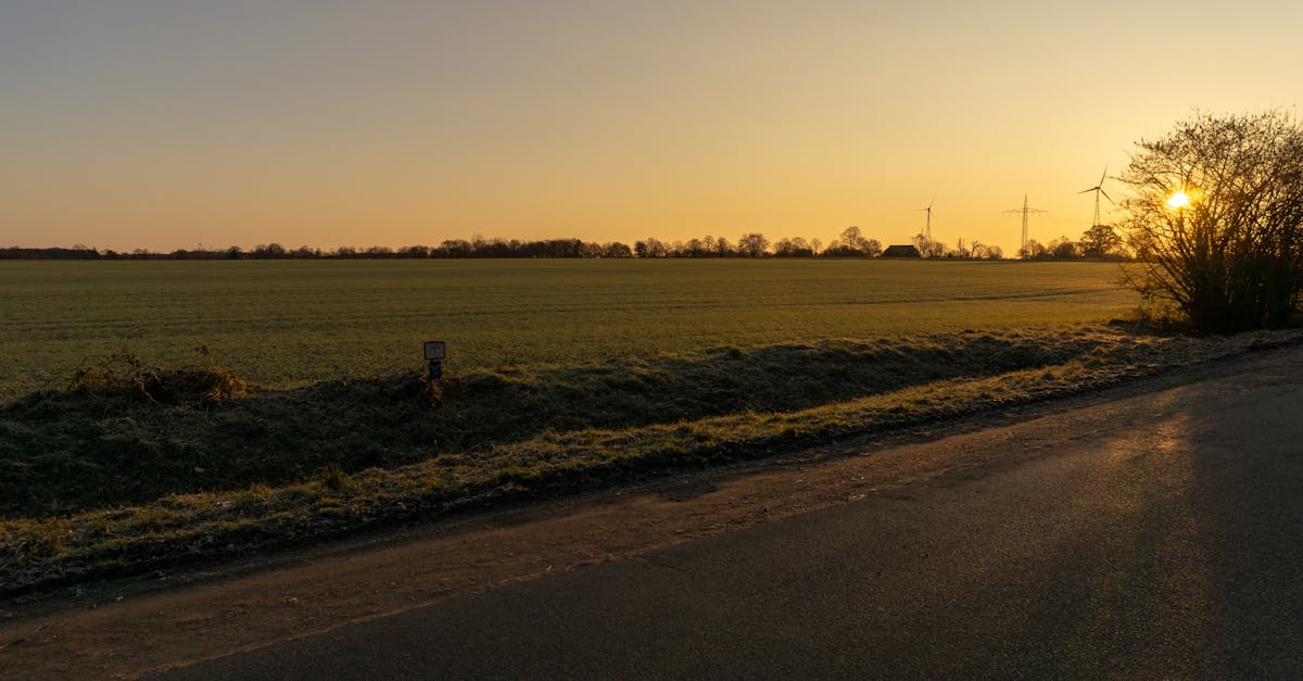 Partenariats écologiques : comment collaborer pour un avenir durable