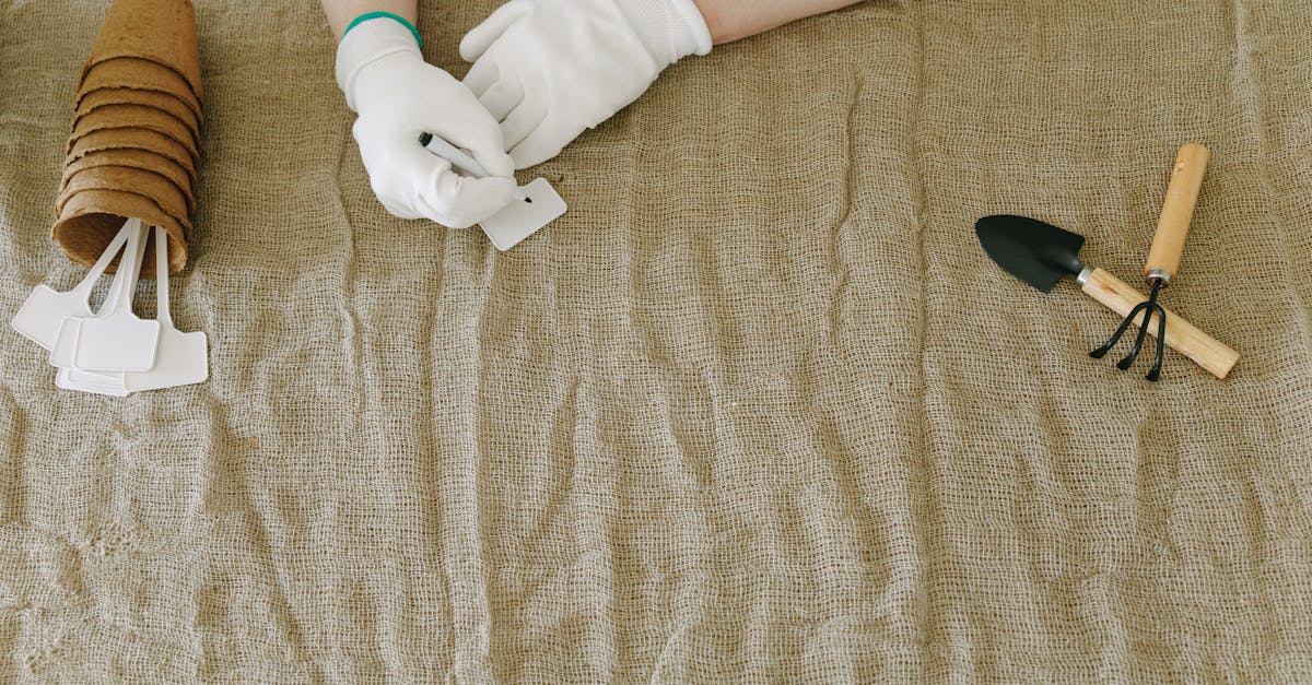 Jardinage écologique : 10 conseils pour un potager durable