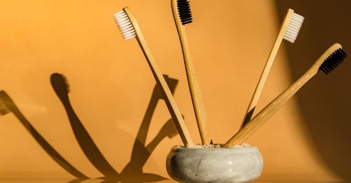 Matériaux durables : un guide pour un avenir éco-responsable