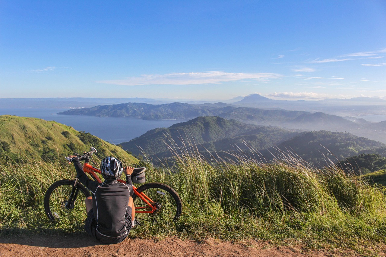Exploration du cycle du carbone en forêt : Apprendre du passé pour affronter les défis du changement climatique
