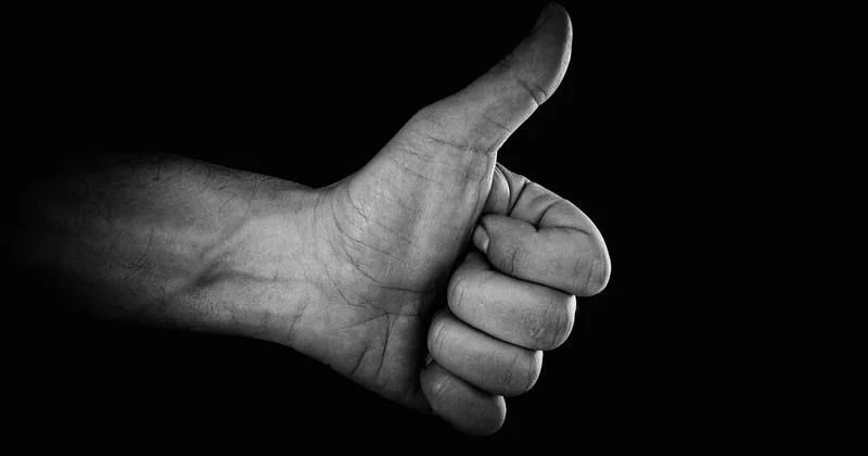 Quels sont 10 gestes éco-responsables que l'on peut faire au quotidien ?