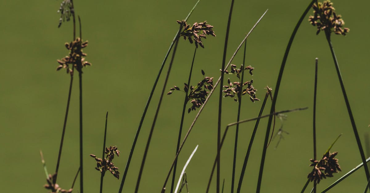Financement climatique : Les nouvelles initiatives pour soutenir la transition énergétique