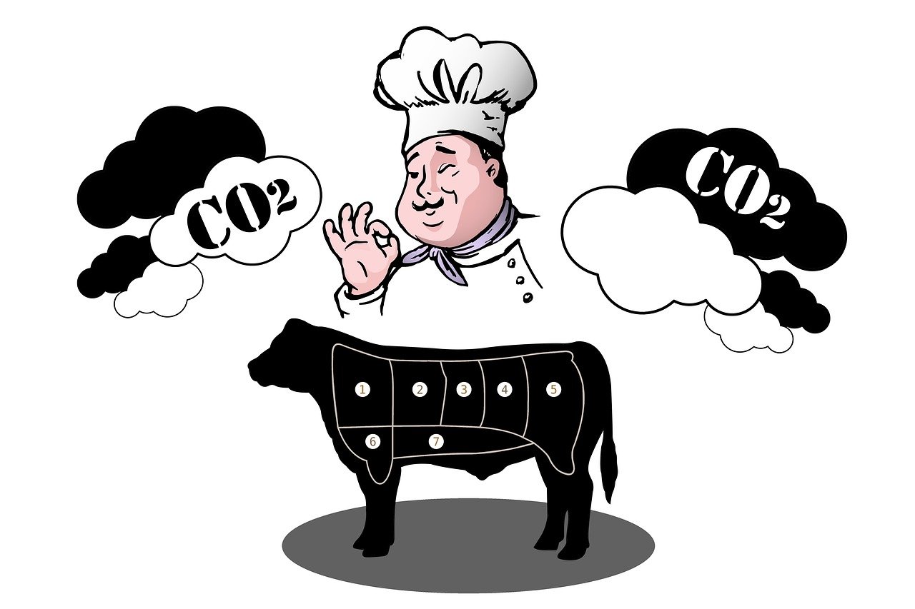 Pratiques écologiques pour un meilleur bilan carbone