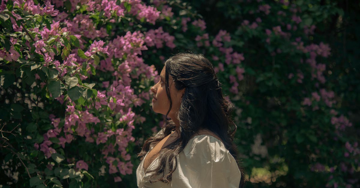 Doléances climatiques : comprendre les attentes des citoyens face au changement