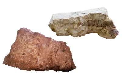 Dell XPS 14 : L’écoconception au cœur de l’excellence haut de gamme – ZDNET