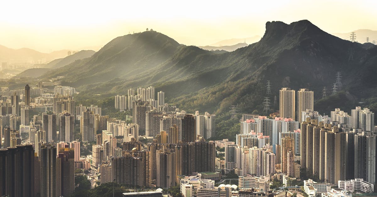 Développement d’infrastructures vertes : Vers une urbanisation durable et respectueuse de l’environnement