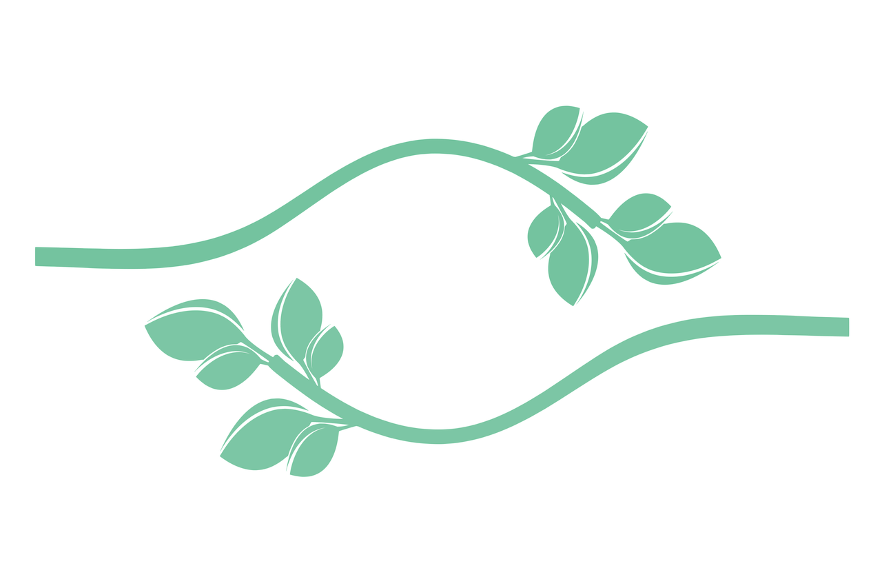 Bilan carbone et écotourisme : un tournant nécessaire