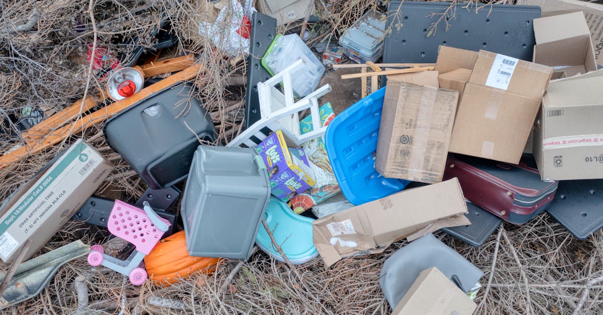 Capacité de charge écologique : comprendre les limites de notre planète