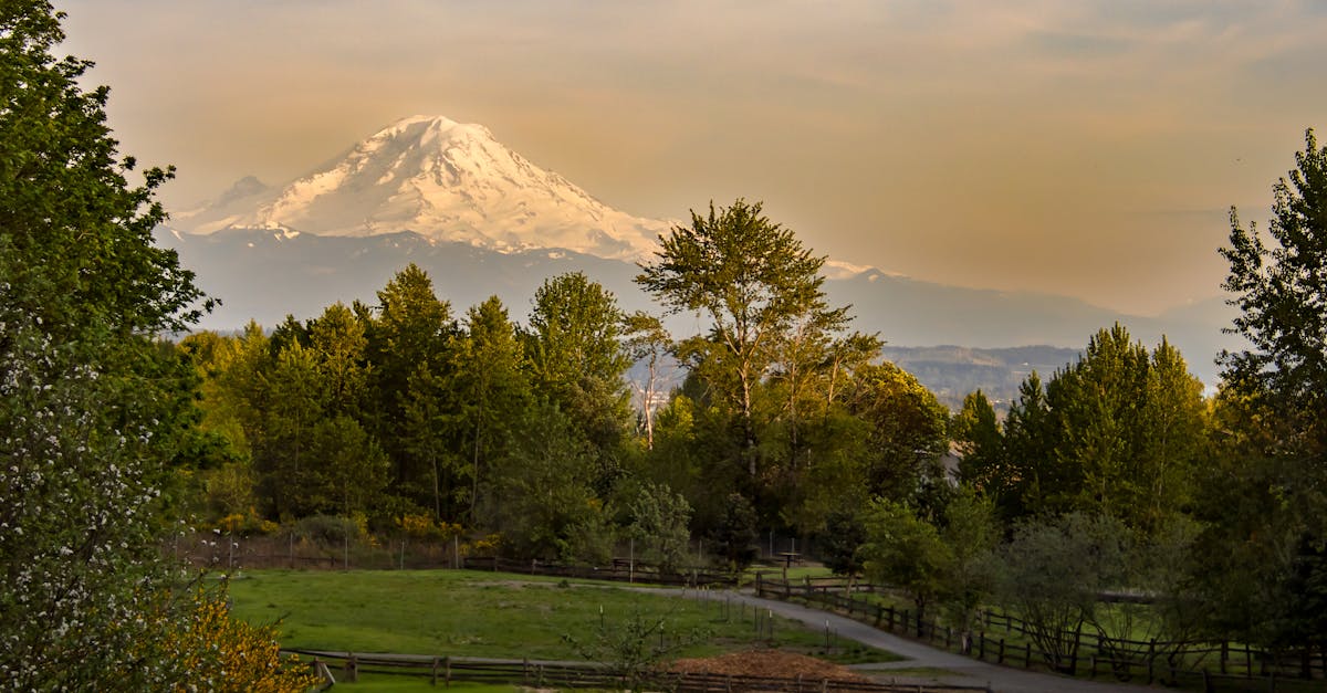 Écotourisme : Découvrez comment voyager de manière responsable et respectueuse de l’environnement