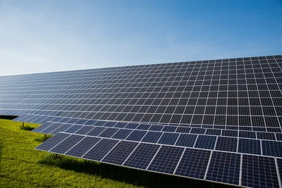 Terry Reintke souligne l’importance cruciale de la transition écologique pour l’avenir durable de l’Europe
