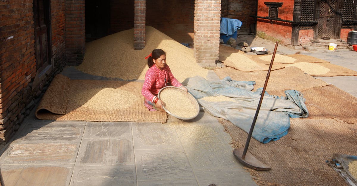 Pratiques commerciales durables : 5 stratégies pour une entreprise responsable