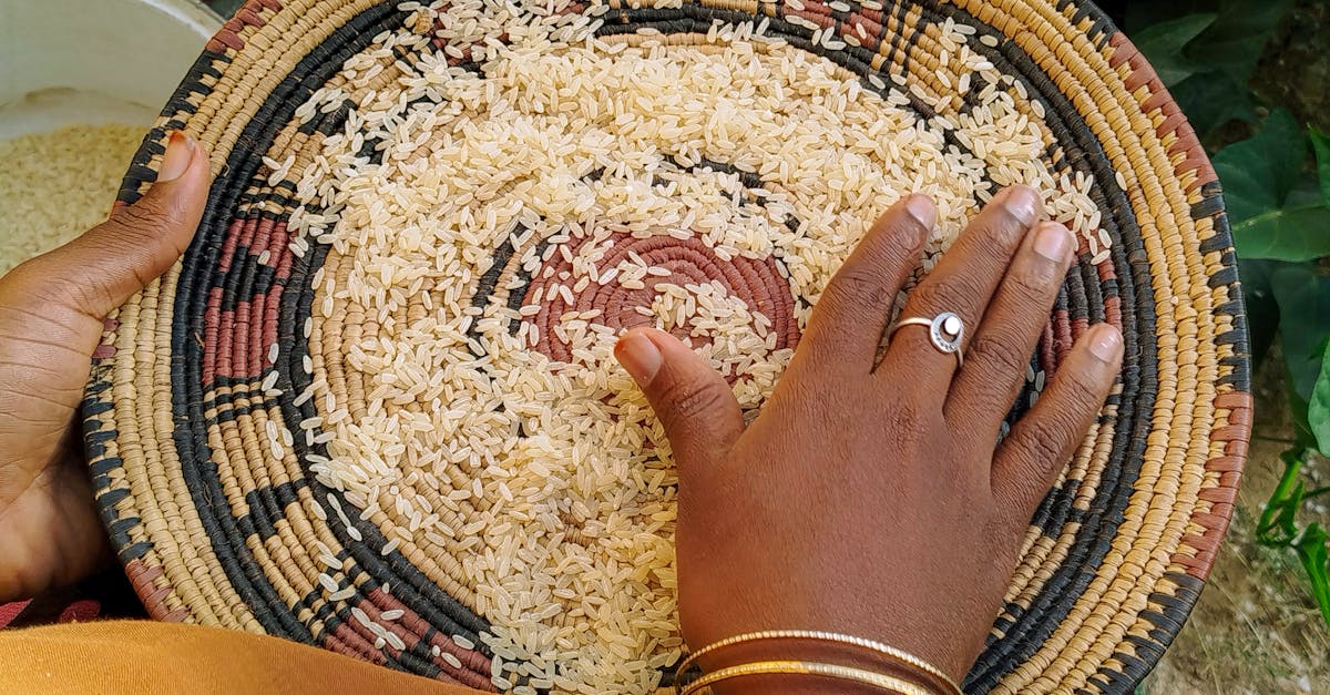 Modèles économiques durables : vers un avenir plus responsable et rentable