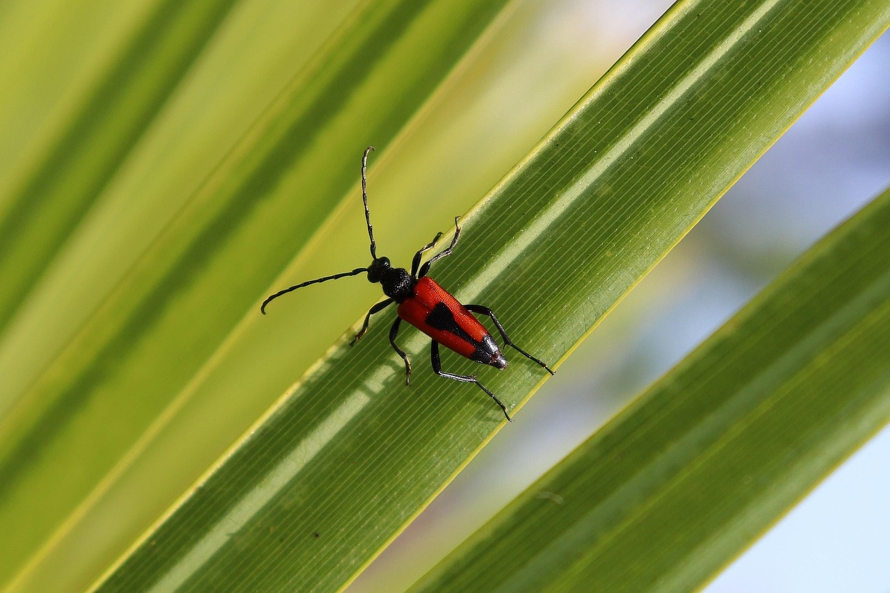 Peut-on offrir des jours de congé supplémentaires pour stimuler l’utilisation du train au sein de la fonction publique territoriale ?