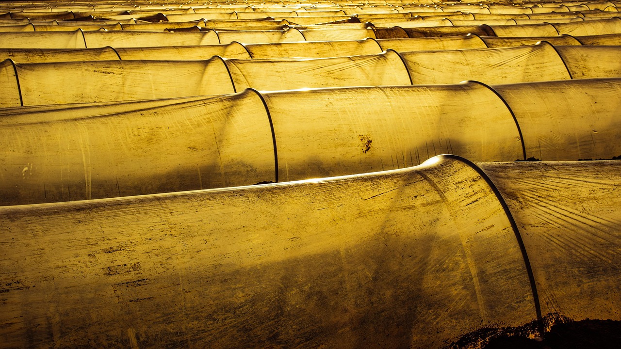 Comprendre l’impact des émissions de gaz à effet de serre dans le secteur agricole