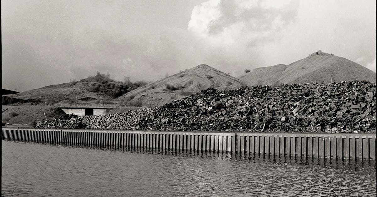 Études d’impact environnemental : comprendre leur rôle dans la préservation de la biodiversité
