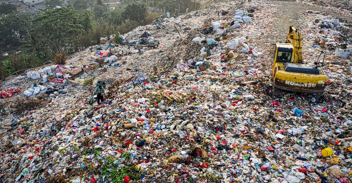 Lotissement écologique : vers une urbanisation durable et respectueuse de l’environnement