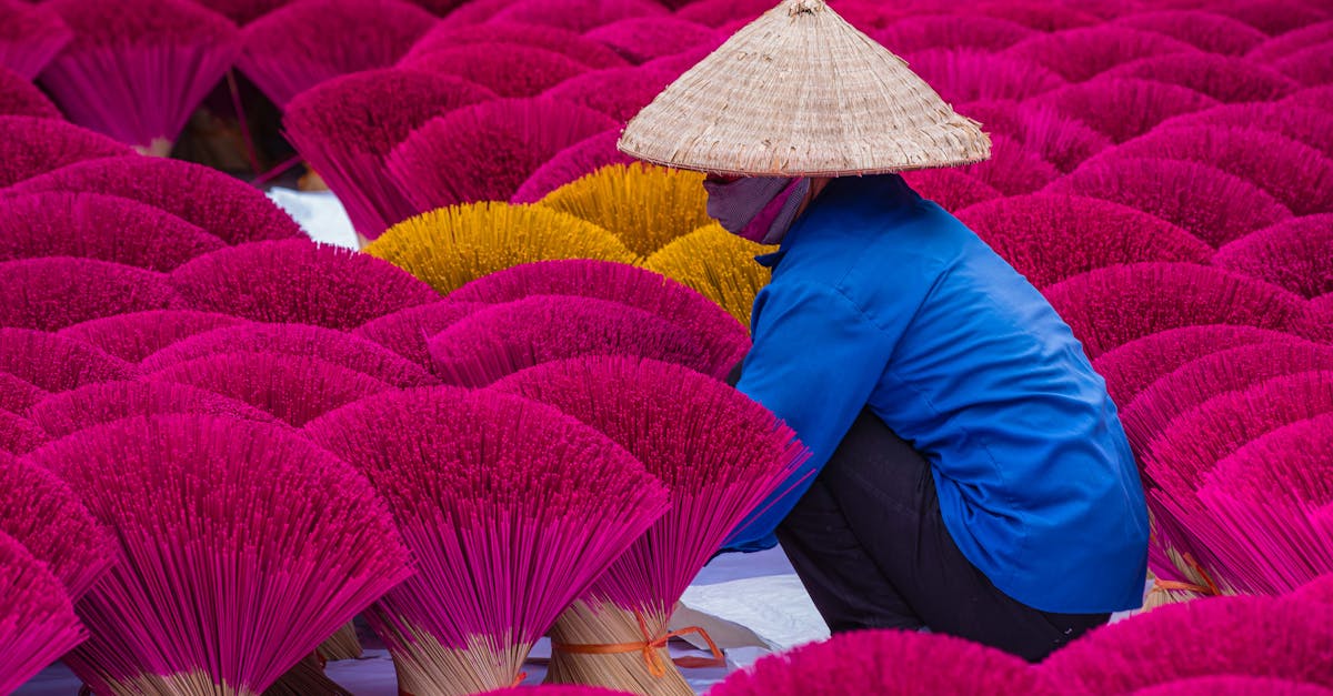 Financement d’initiatives durables : Comment soutenir les projets écologiques efficacement