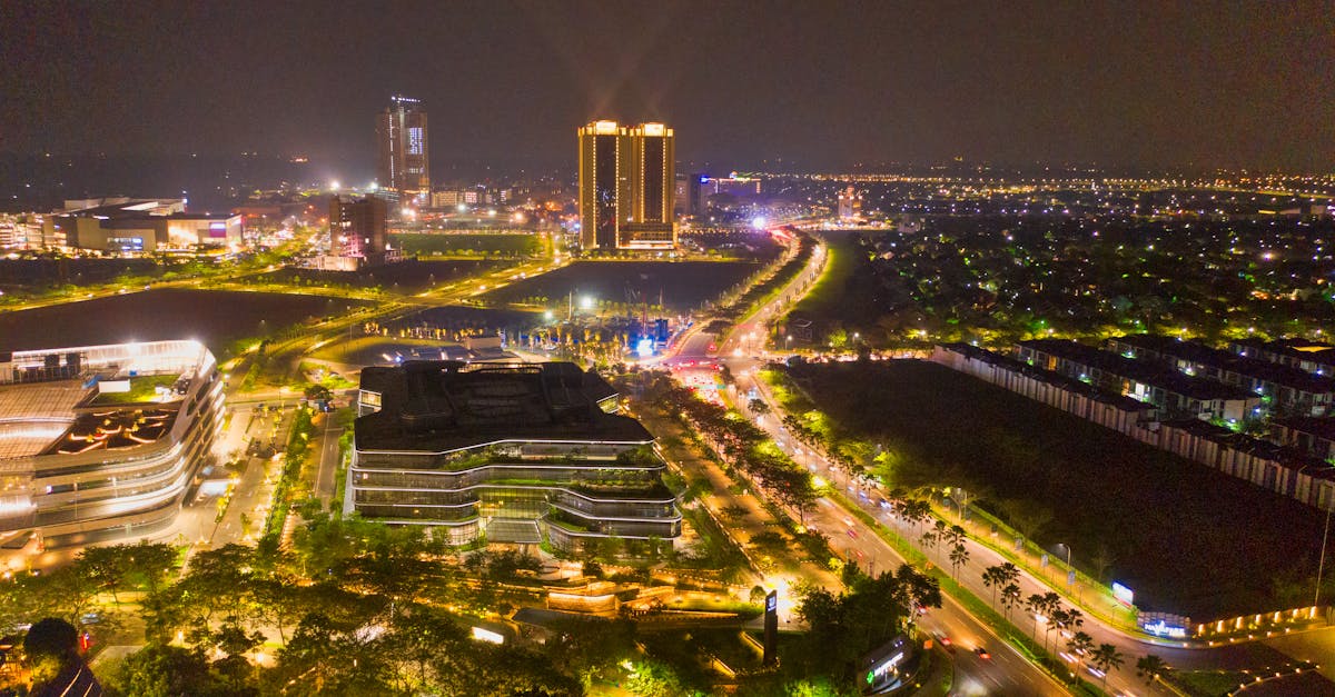 Économie verte : Les enjeux et opportunités pour un développement durable