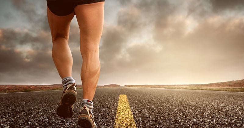 Comment compenser les émissions carbone d'un marathon