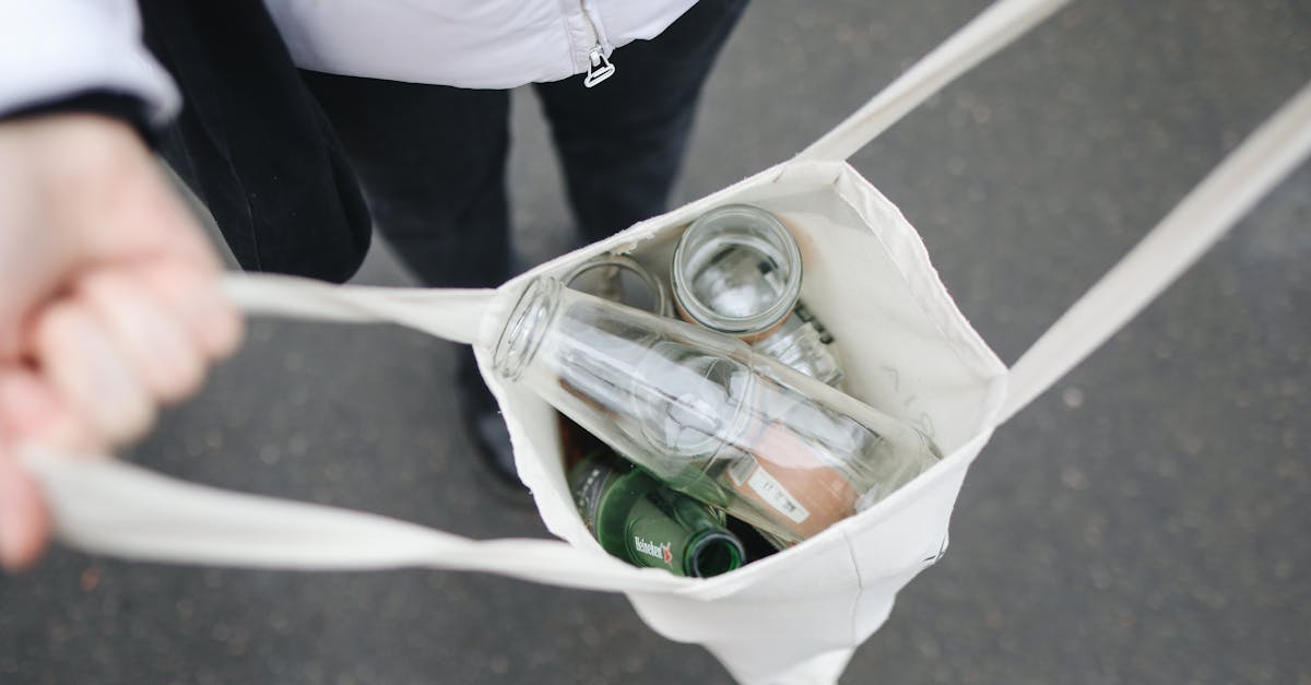 Écologie et humanité : Vers une coexistence durable entre l’homme et la nature