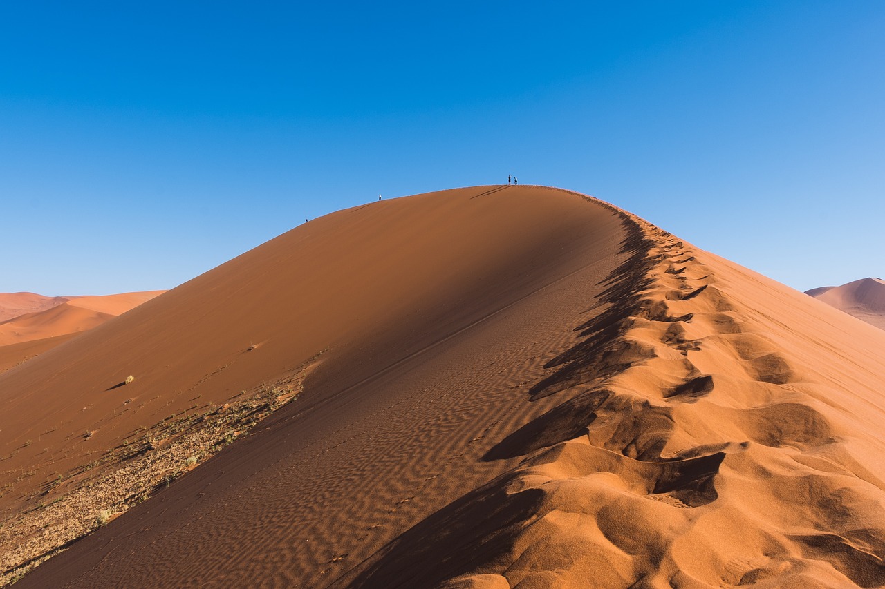 découvrez l'impact du changement climatique sur notre planète, les enjeux environnementaux actuels et les solutions durables pour préserver notre avenir. informez-vous sur les actions que vous pouvez entreprendre pour lutter contre le dérèglement climatique.