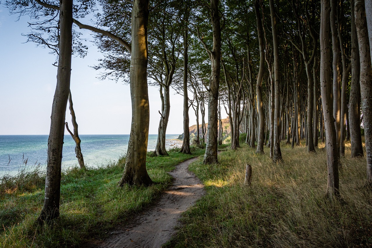 Le Trail : Un État des Lieux sur son Impact Écologique et sa Pratique