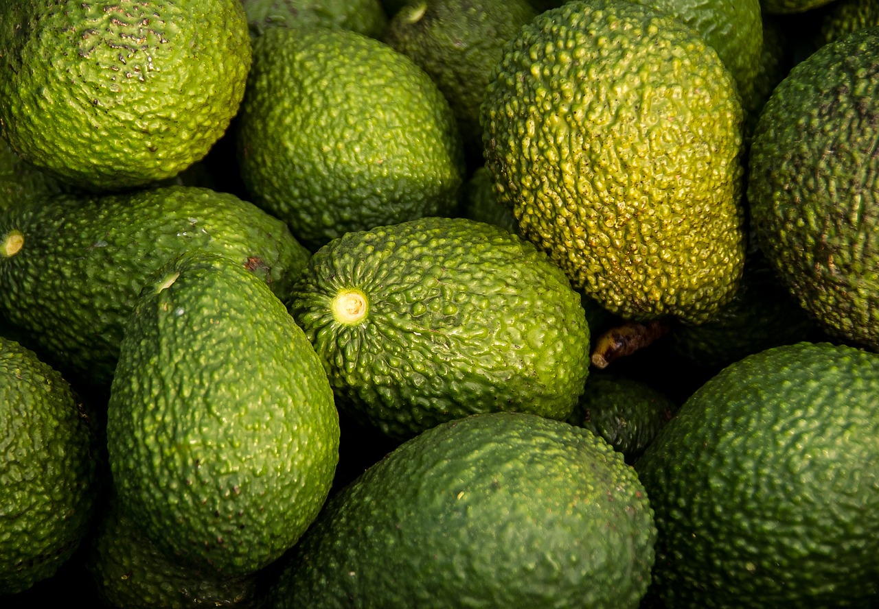 découvrez les bienfaits étonnants des avocats, un super-aliment riche en nutriments, facile à intégrer dans vos plats quotidiens. apprenez des recettes délicieuses et des astuces pour profiter de ce fruit crémeux et savoureux.