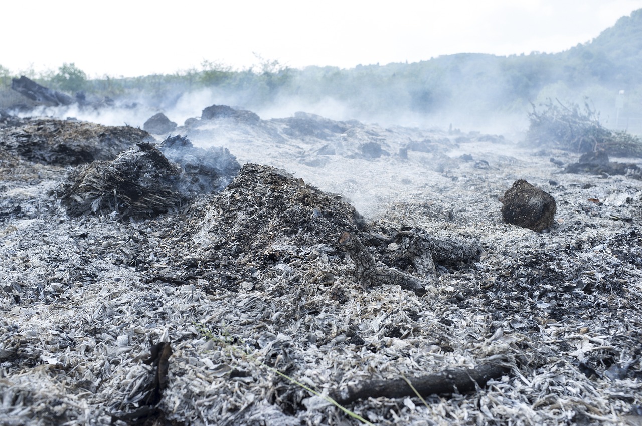 découvrez les combustibles fossiles, leurs impacts sur l'environnement et les alternatives durables. comprenez l'importance de cette ressource énergétique dans notre société moderne et explorez les solutions pour un avenir plus vert.