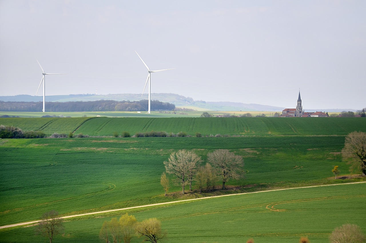 découvrez notre stratégie de développement durable, axée sur la protection de l'environnement, l'équité sociale et la croissance économique. explorez des initiatives innovantes qui favorisent un avenir viable pour les générations futures.