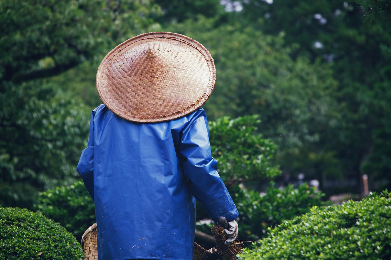 découvrez l'art du jardinage durable : des techniques respectueuses de l'environnement pour cultiver vos plantes tout en préservant la biodiversité. apprenez à utiliser des pratiques éco-responsables et à créer un jardin florissant qui contribue à un avenir plus vert.