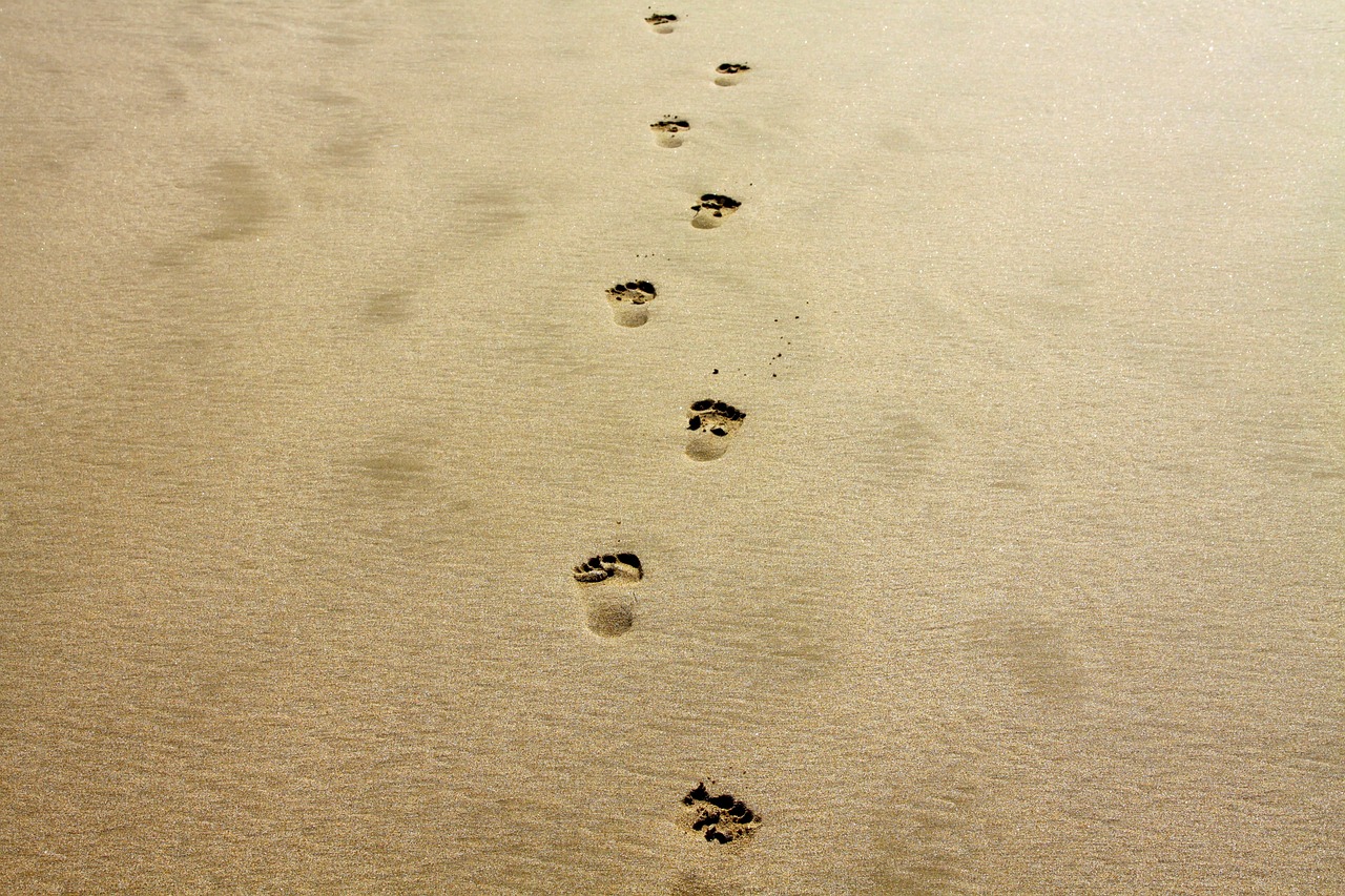 découvrez ce qu'est l'empreinte carbone, son impact sur l'environnement et comment réduire votre contribution personnelle à travers des actions concrètes et responsables.