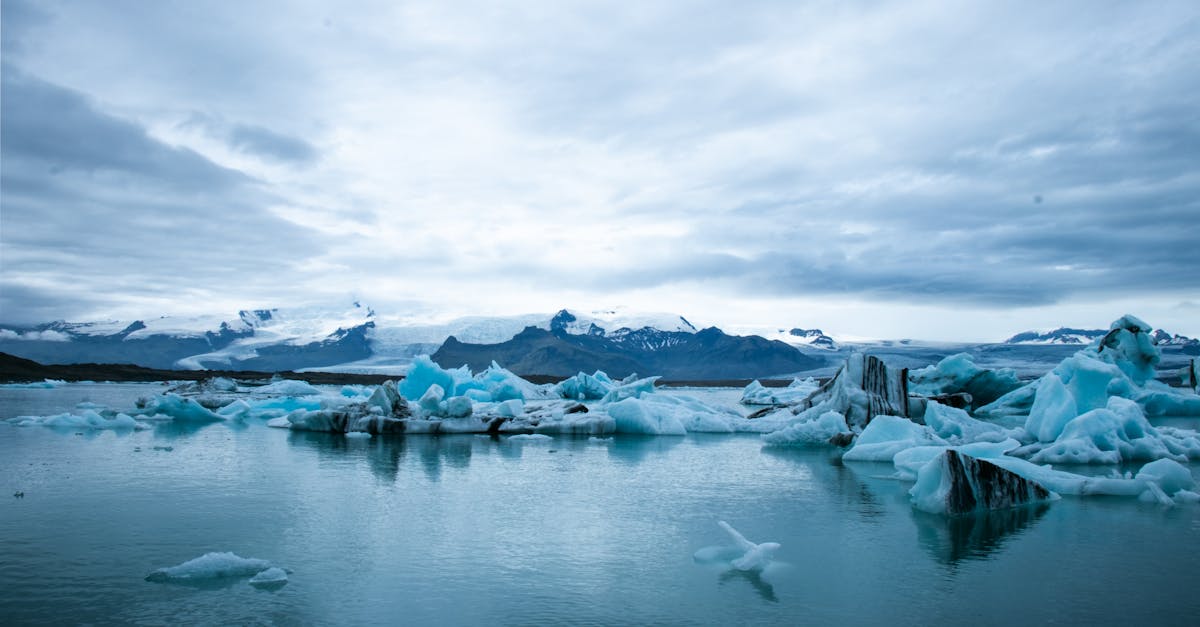 Lutte contre le changement climatique : stratégies et actions à adopter
