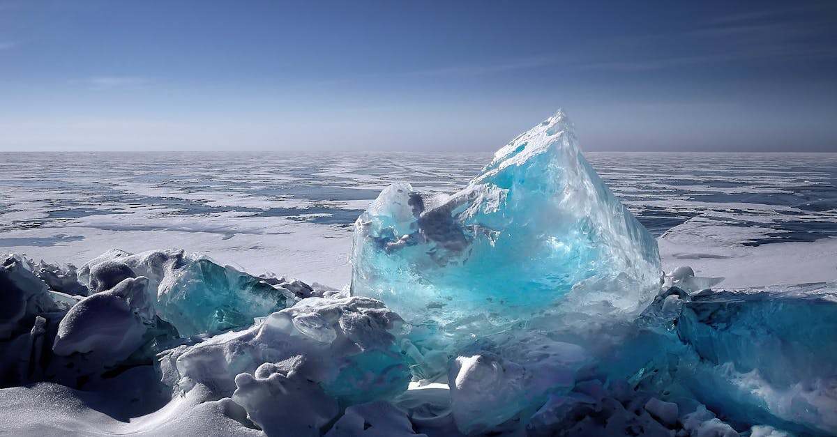 découvrez les enjeux climatiques actuels et leurs impacts sur notre planète. explorez des solutions durables pour protéger notre environnement et comprendre comment chacun peut agir face au changement climatique.