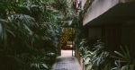 découvrez le design durable, une approche qui allie esthétique et respect de l'environnement. apprenez comment intégrer des pratiques écoresponsables dans vos projets pour un avenir plus vert et responsable.