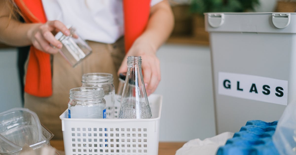 découvrez les pratiques durables qui transforment notre quotidien, de l'agriculture écologique aux innovations énergétiques. engagez-vous pour un avenir respectueux de l'environnement en adoptant des solutions responsables et efficaces.