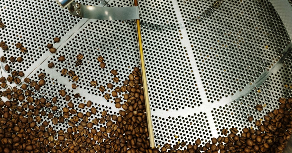Éthique de la consommation : comprendre les enjeux pour un achat responsable