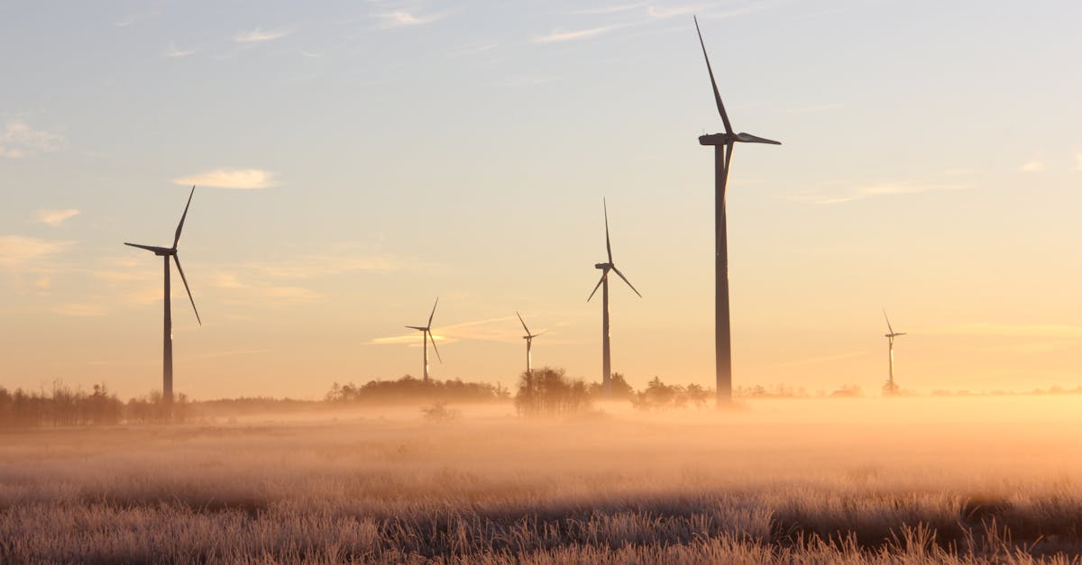 Filières écologiques : l’avenir durable de nos ressources