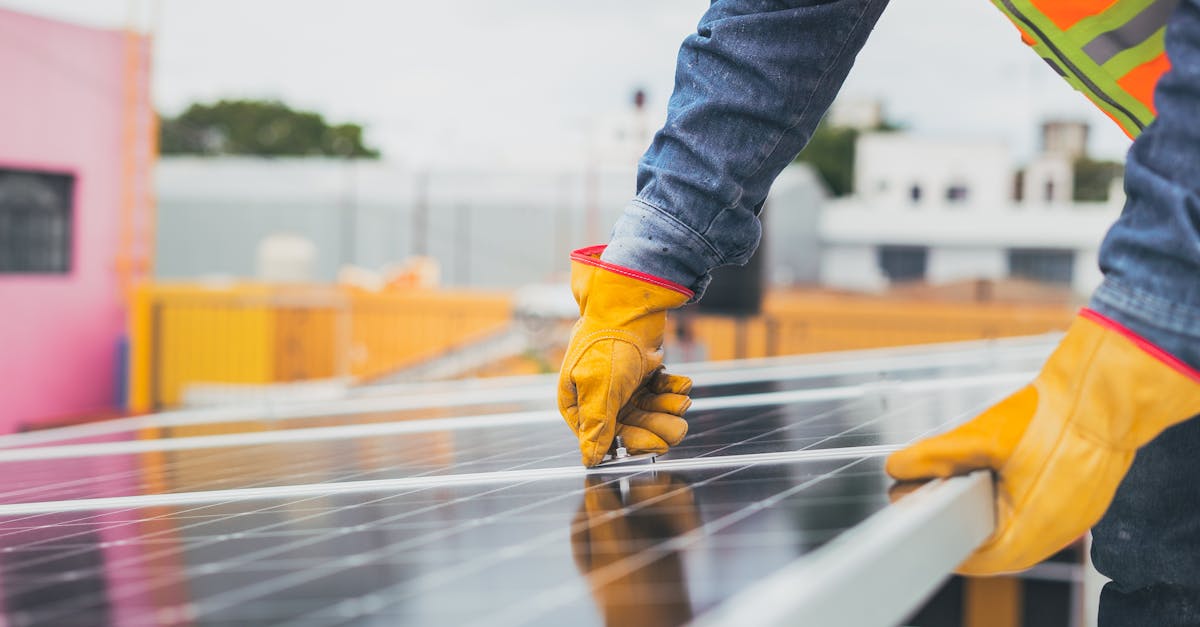 découvrez les dernières avancées en matière de technologies durables qui transforment notre avenir. explorez comment les innovations écologiques contribuent à un monde plus respectueux de l'environnement tout en promouvant un développement économique responsable.
