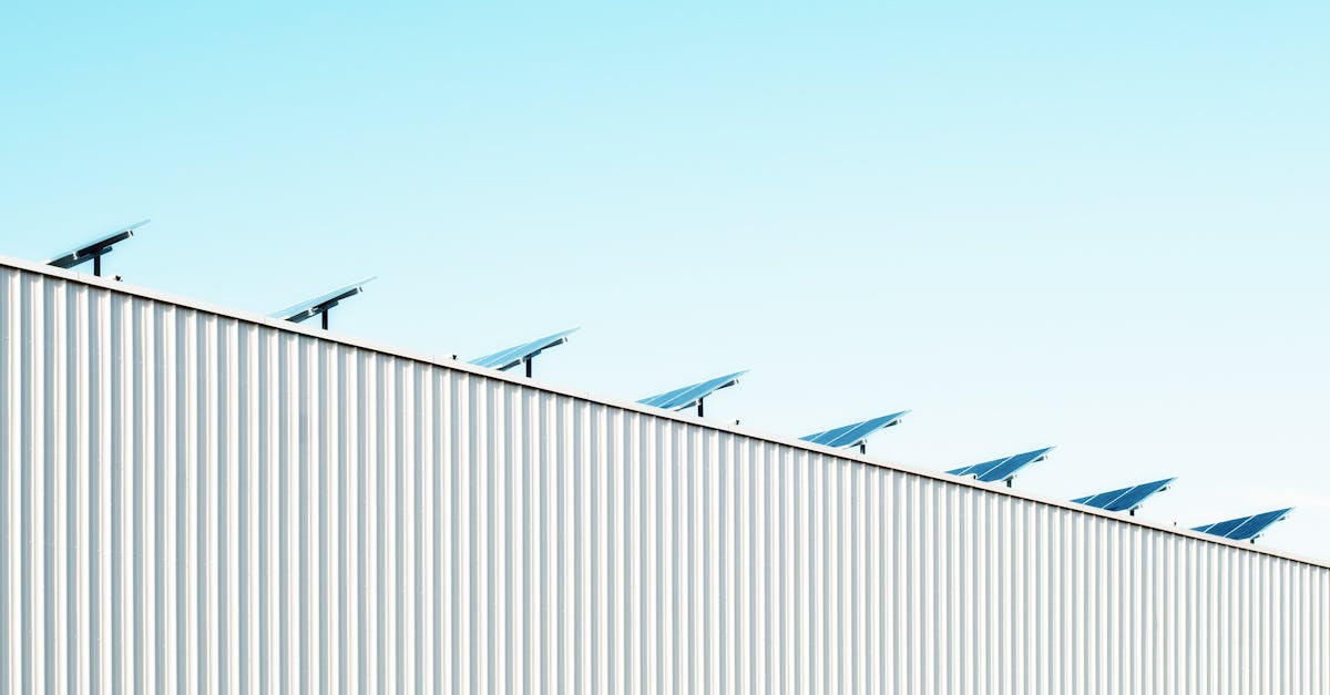 Projets écologiques : Comment contribuer à la durabilité de notre planète