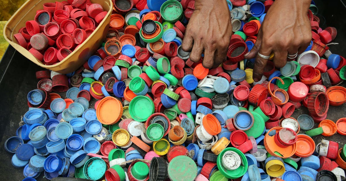 Réduction de l’impact environnemental : 10 astuces pour un mode de vie éco-responsable