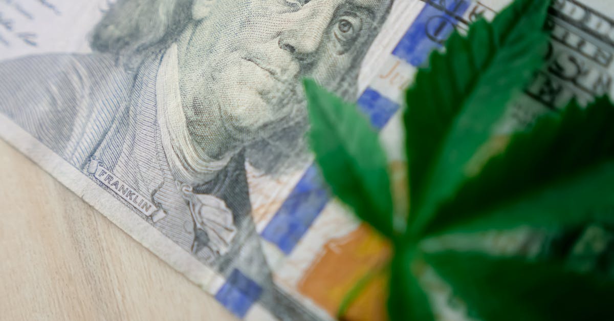 découvrez le financement vert, une solution innovante pour soutenir des projets écologiques et durables. apprenez comment ces investissements responsables contribuent à la transition énergétique et à la protection de l'environnement.