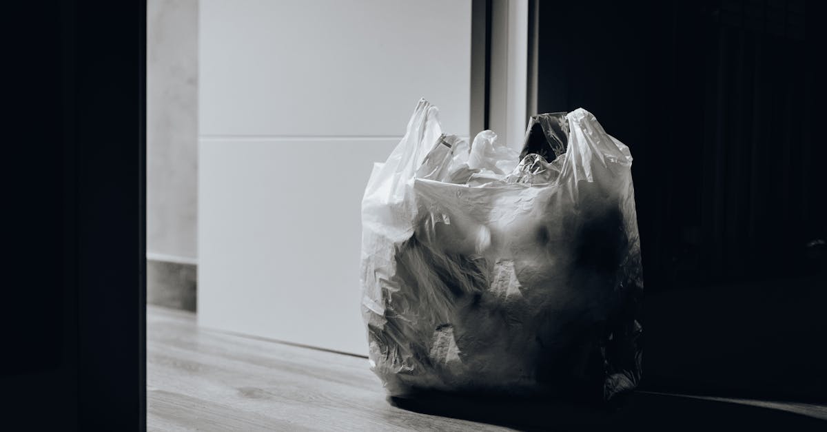 découvrez l'impact croissant de la pollution plastique sur notre environnement. informez-vous sur les causes, les conséquences et les solutions pour lutter contre ce fléau et préserver notre planète.