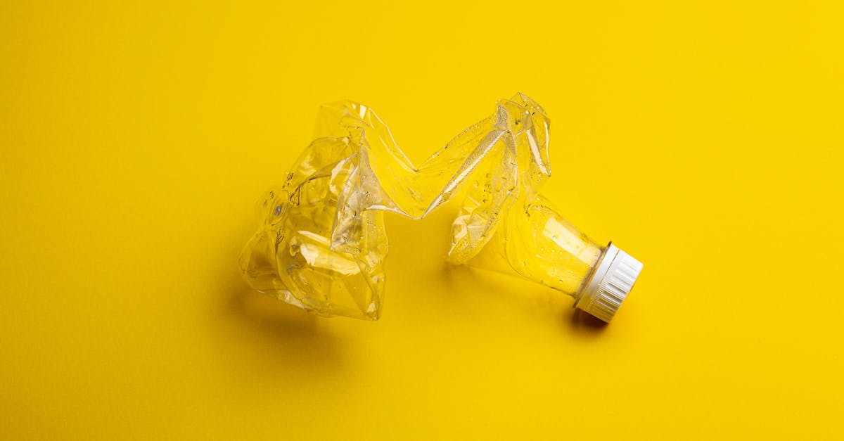 découvrez l'importance du recyclage pour l'environnement et la durabilité. apprenez comment trier vos déchets efficacement et les différentes méthodes de recyclage pour contribuer à un avenir plus vert.