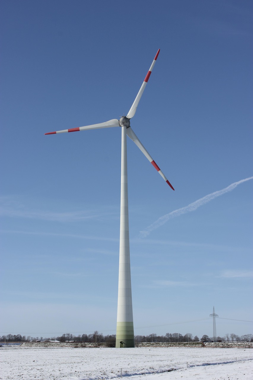découvrez comment la durabilité influence notre avenir, avec des stratégies innovantes pour préserver l'environnement, promouvoir des pratiques responsables et encourager un mode de vie durable. engagez-vous pour un monde meilleur.